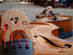 Stage de contrebasse - A vous de jouer